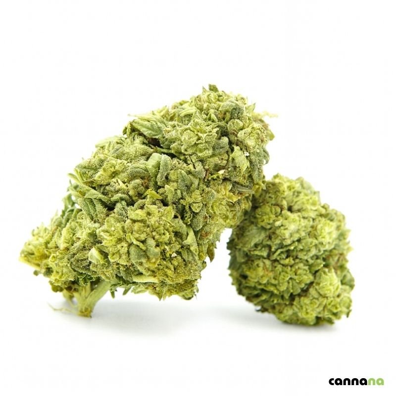 Biscotti glassati Superior 55% ❄️🍪