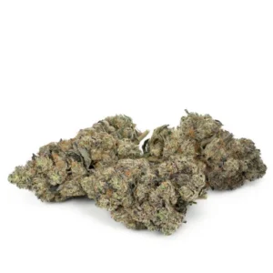 Slurricane von Pluto Craft Cannabis