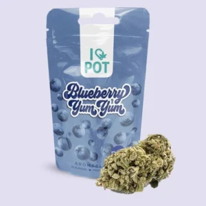 CBD-Blüte – Blueberry Yum Yum 3